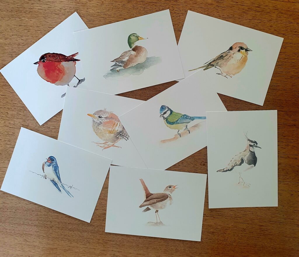 Vogels Diemen