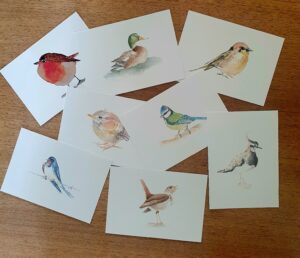 Vogels Diemen